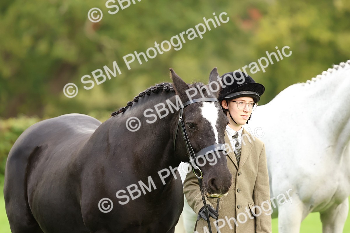 SBM_32863 - S8 - Best Turned Out