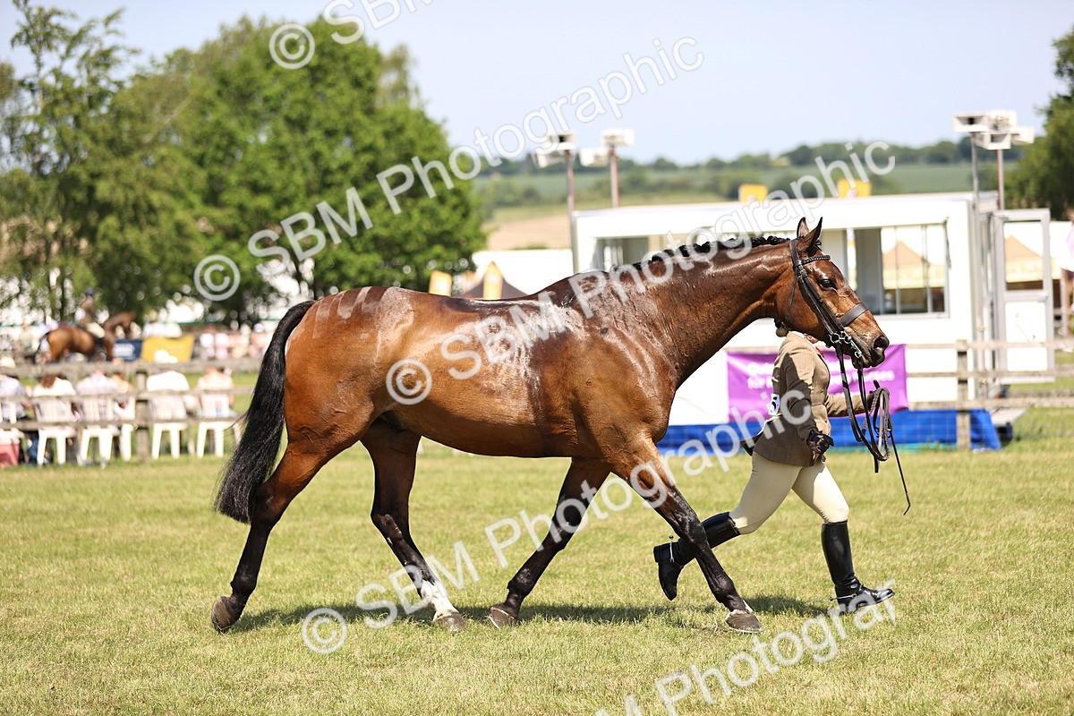 SBM_17781 - Class 81-83 - TSR Ridden Amateur of the Year - Horses