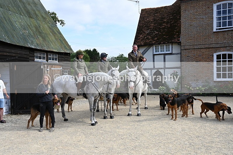 WJ6_3894 - Berks & Bucks - The Old farmhouse - Hound Exercise 20-08-25