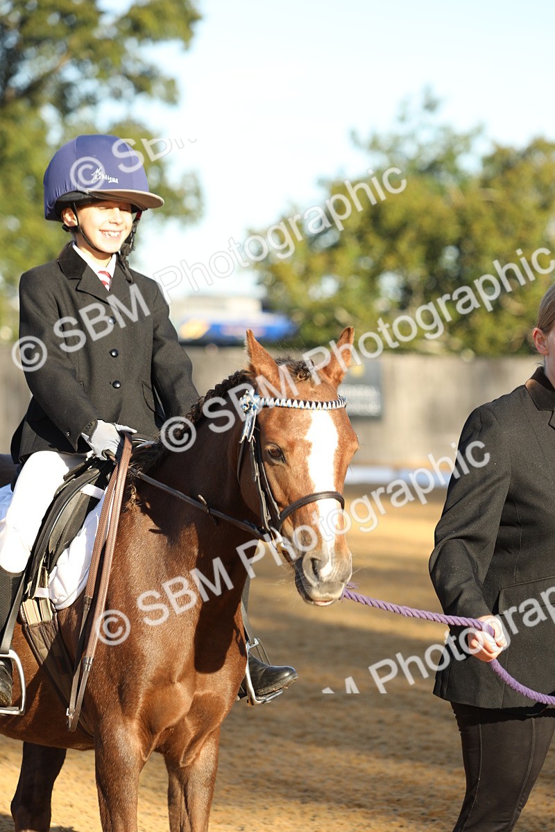 SBM_33643 - D26 - Starers - Lead Rein