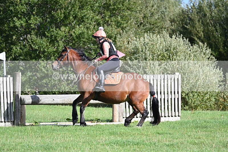 WJ7_1319 - Time 13:56 to 14:24