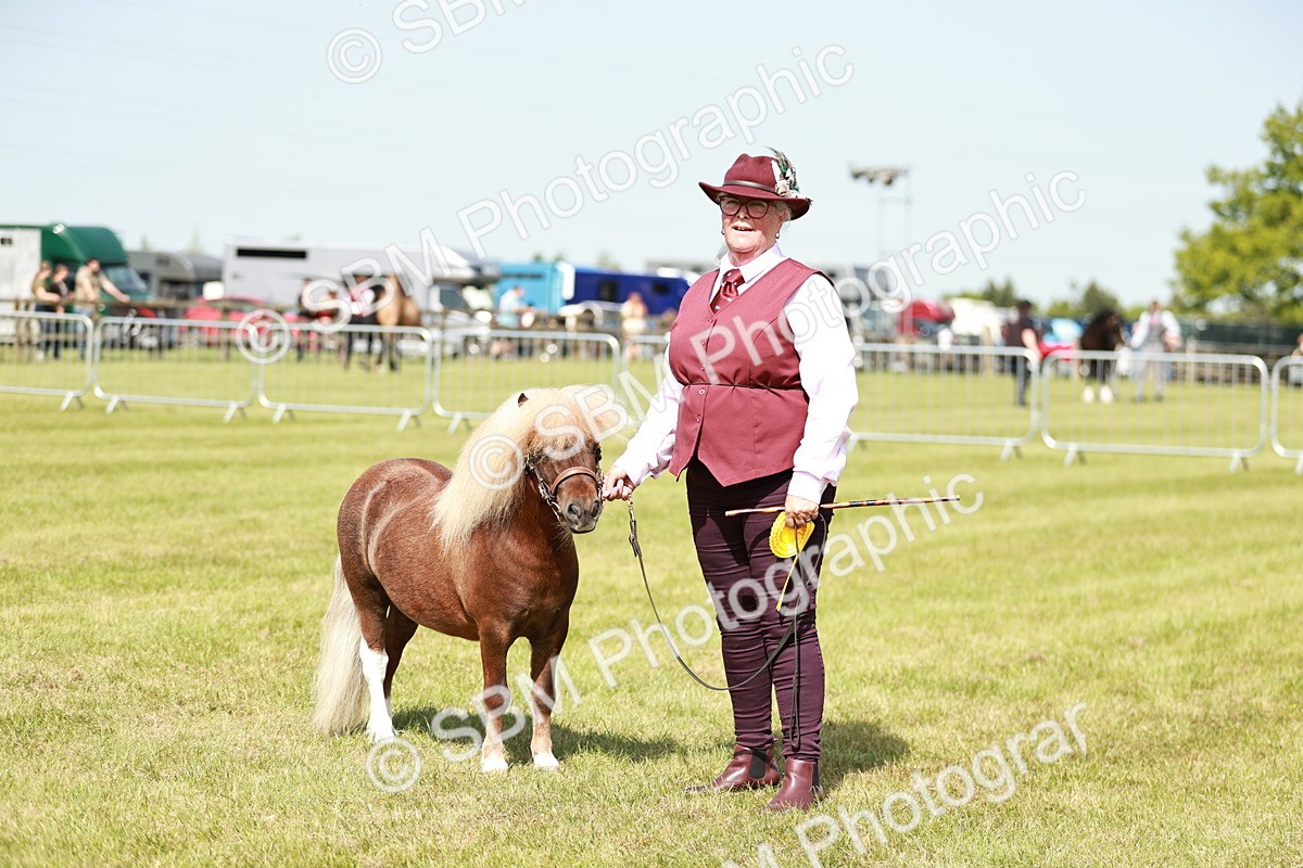 SBM_02024 - Class 14-23 - Mountain & Moorland In Hand Non Welsh