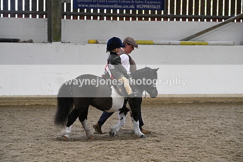 WJ7_4592 - Afternoon Champs