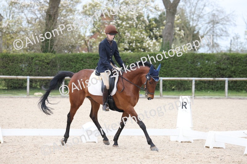 20260404-1000 - Class 6 - Novice 3