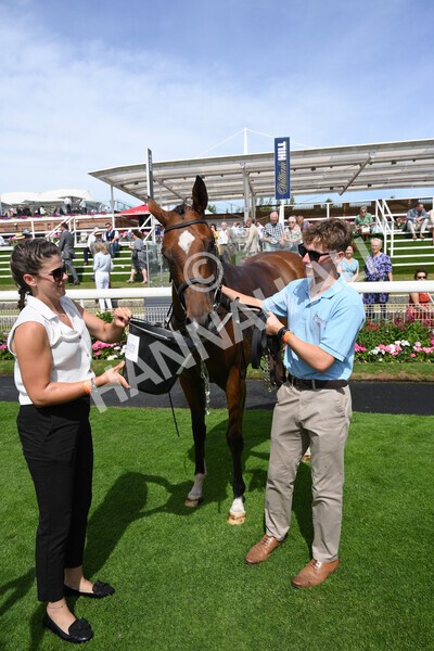 yr08072022r3-33 - Race 3 3.15pm William Hill Play Responsibly Irish EBF Novice Fillies Stakes