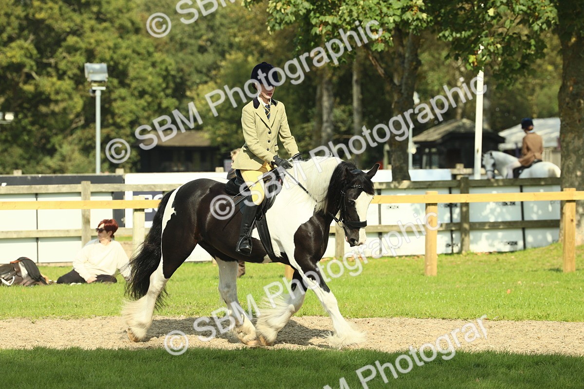 SBM_67596 - S56 - Coloured Pony Ridden