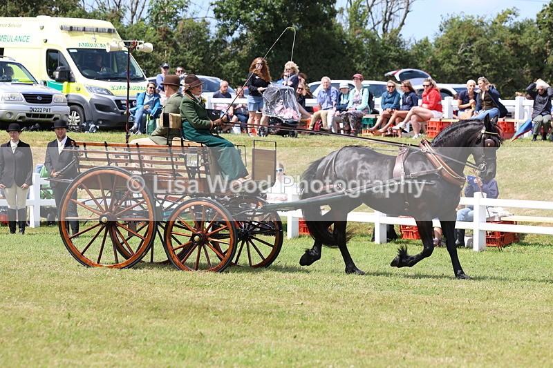 3E7A2680 - Class 12: Open Driving