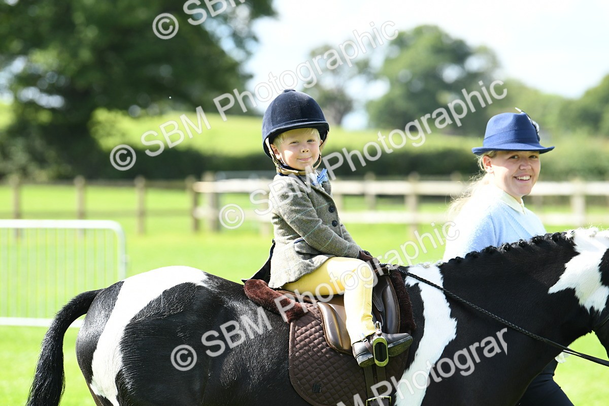 SBM_41135 - S19 - Lead Rein Show & Show Hunter Pony
