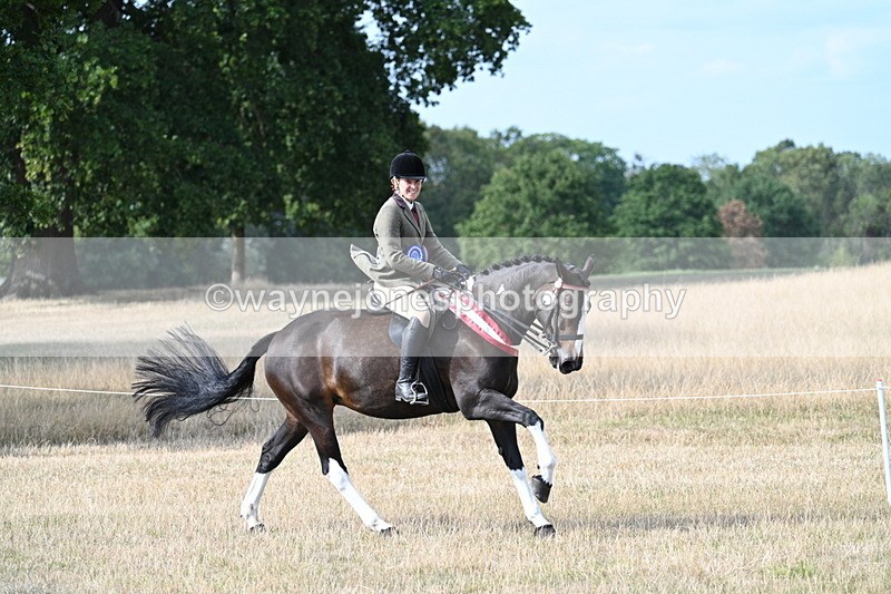 WJ7_7867 - Ridden Championship