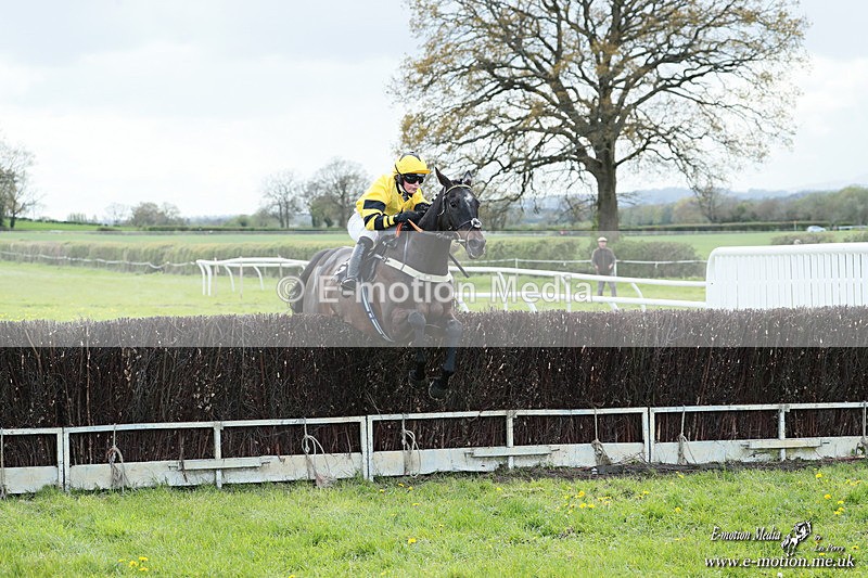 PtP 180426 853 - Worcestershire Hunt PtP Chaddesley Corbett 18/04/26