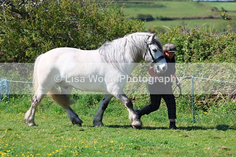 3E7A9335 - Class 16: Best Grass Kept