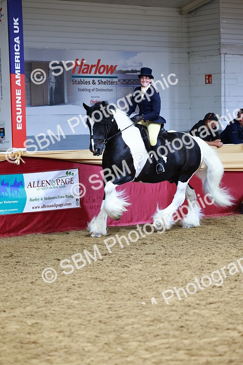 SBM_23475 - class 906 - Supreme Final - Ridden Pre Vet