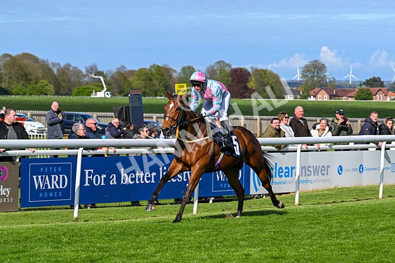 240425-Race 6-Alfie Boy-1663 - Race 6