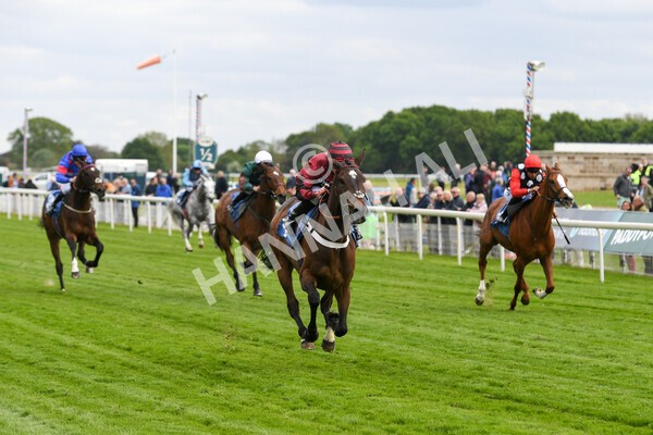 yr12052022r7-19 - Race 7 5.15pm Fidomoney Stakes