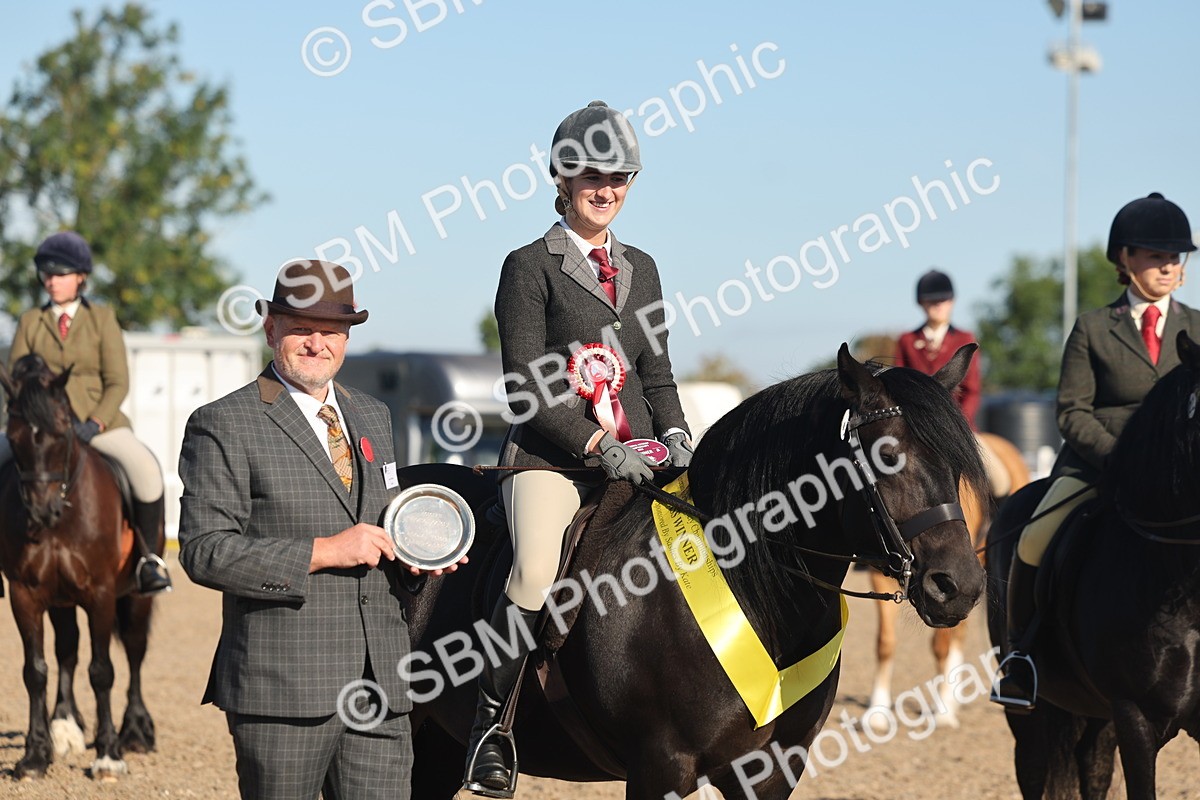 SBM_11107 - Class 302 - Ridden M&M Large Breeds