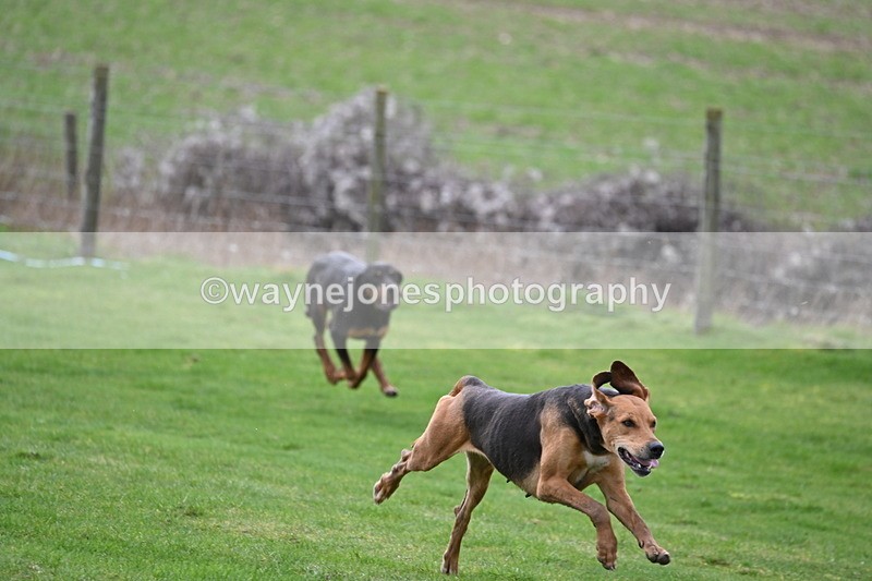 WJ6_8971 - Line Three