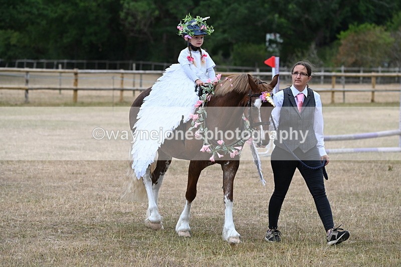 WJ6_8606 - Class 11 Fancy Dress