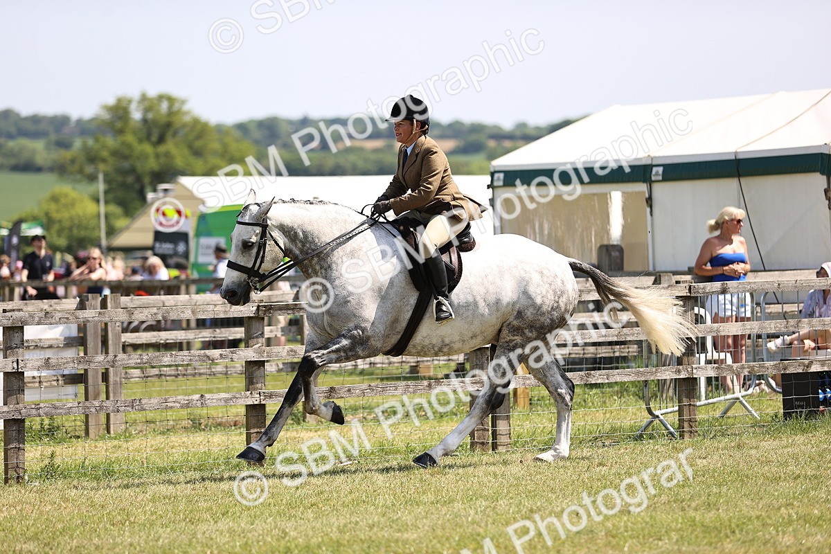SBM_15121 - Class 79-80 - LIHS BSHA Rising Star Ridden Hunter