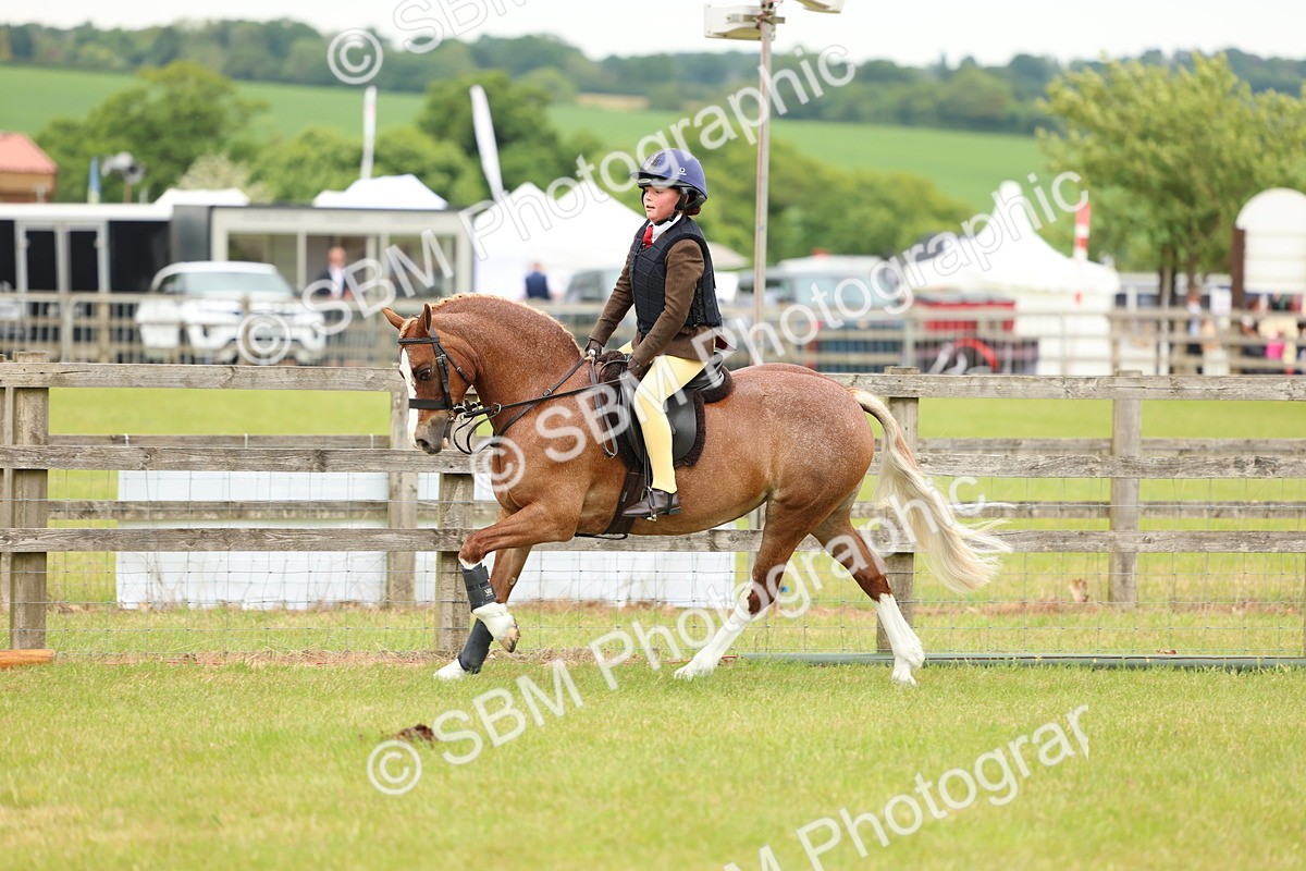 SBM_10276 - Class 44-45 - LIHS BSPS Open Nursery and Cradle Stakes