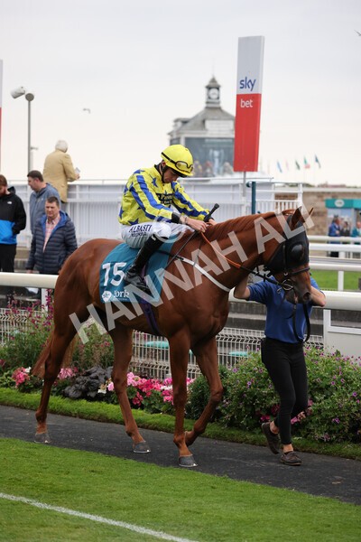 yr22072022r7-16 - Race 7 8.25pm The Sky Bet Go-Racing-In-Yorkshire Summer Festival Stakes