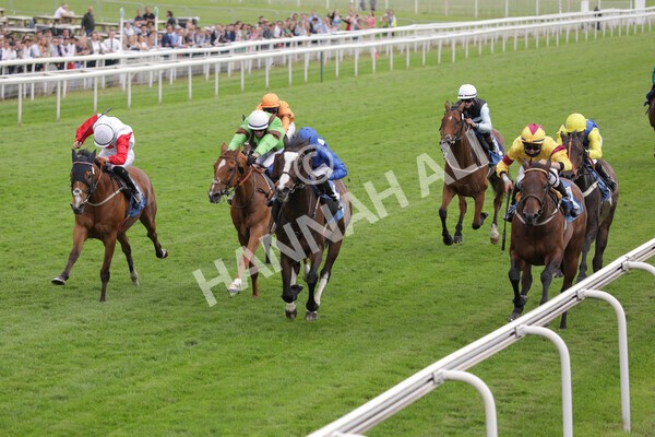 yr11062021r7-10 - Race 7 5.05pm SASH Charity Stakes