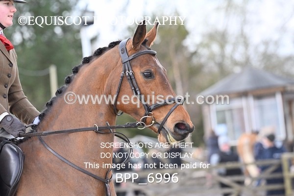 BPP_6996 - RING 1  (RIDDEN HORSES / IN HAND / VETERAN ETC)