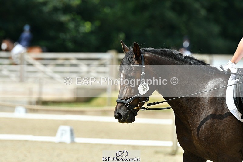 230623-113012-00469 - Cls 3 Novice 23 Start to 11.55 break