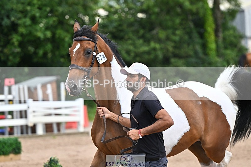 240718A-105308-01607 - Trot Up 1pm to 2pm