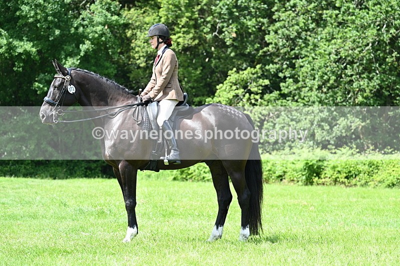 WJ7_1458 - Class 11 Condition & Turnout