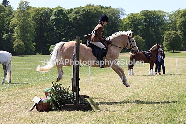 IMG_4244 - Working Hunter