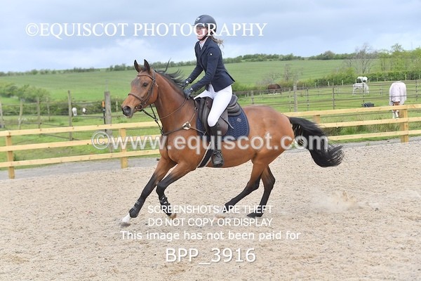 BPP_3916 - CLASS 2  Club/ Unaffiliated 80cms Open