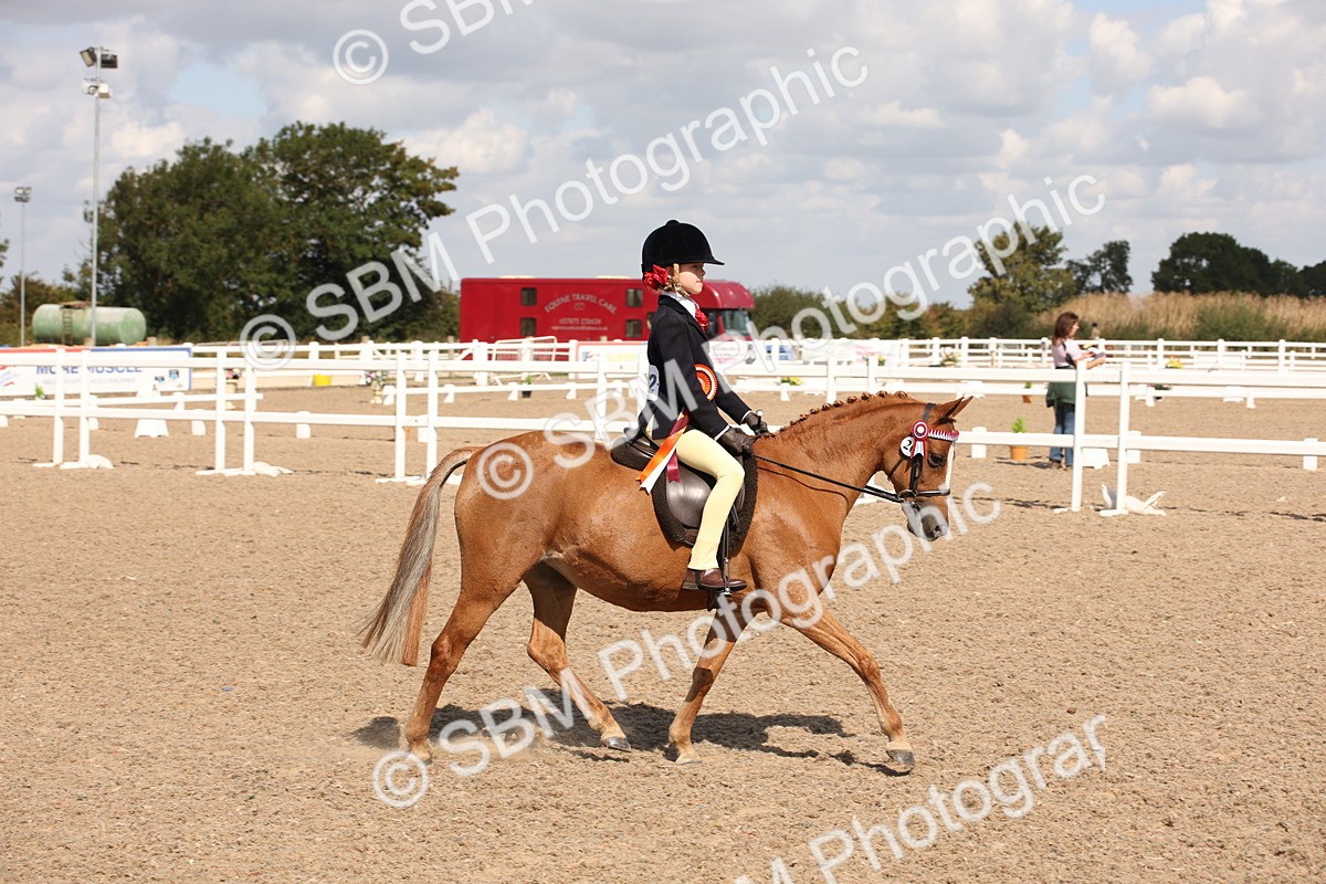 SBM_03091 - Class 17 Prettiest Mare IH or Ridden