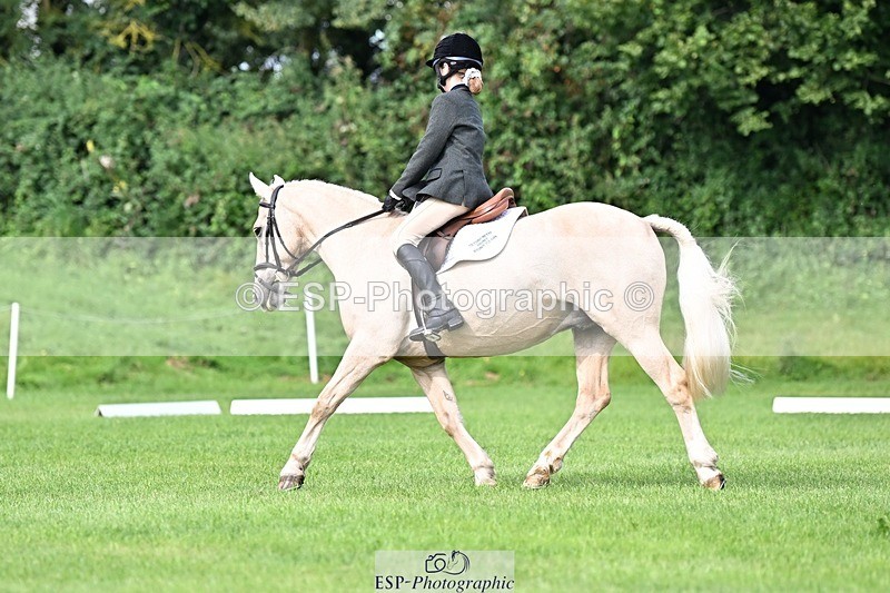 230826-103539-16588 - Sections A & B 10 to End