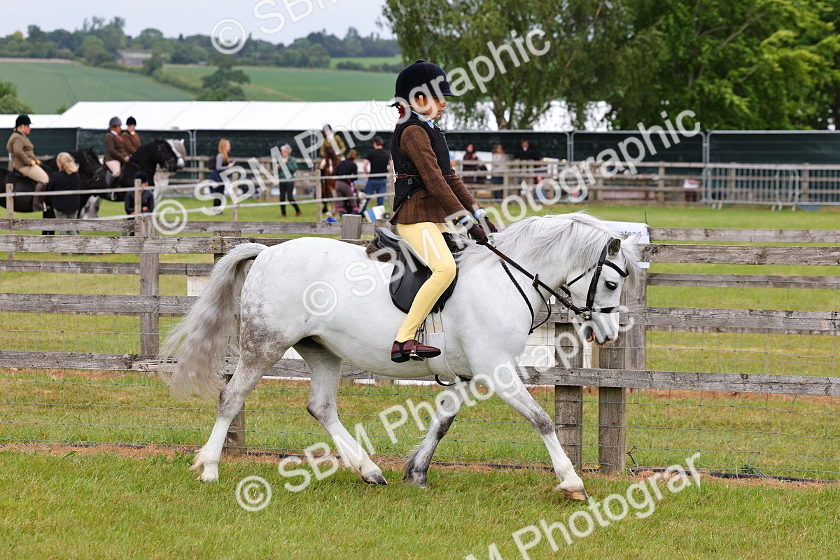 SBM_08532 - Class 42-43 - LIHS BSPS Heritage Working Sports Pony