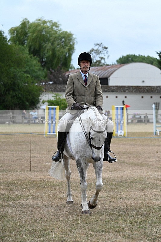 WJ7_0771 - Class 7 Riding Club Show Horse