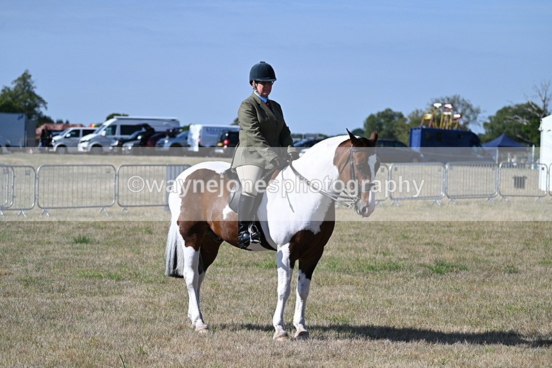 WJ7_3179 - Class 8 Ridden Tack & Turnout