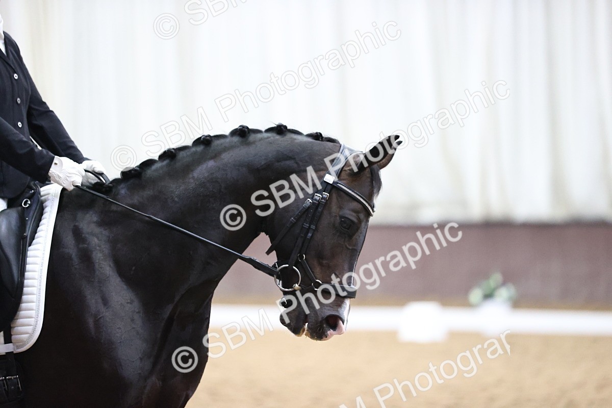 SBM_018972 - Class 21 - Medium 73 - 9.00-10.00