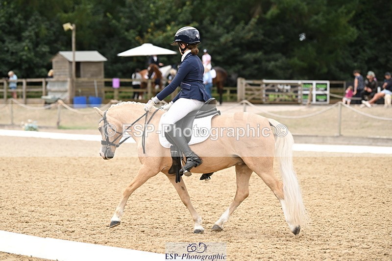 250808A-114207-00673 - 155-Rose.Cassapi-Westfirle.Golden.Oriole