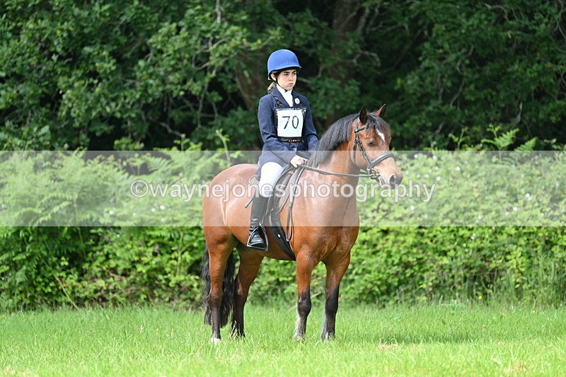 WJ7_1142 - Class 11 Condition & Turnout