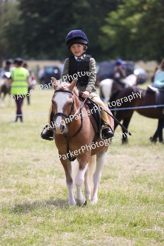 20260614-2023 - Class 21 - Novice Working Hunter Pony