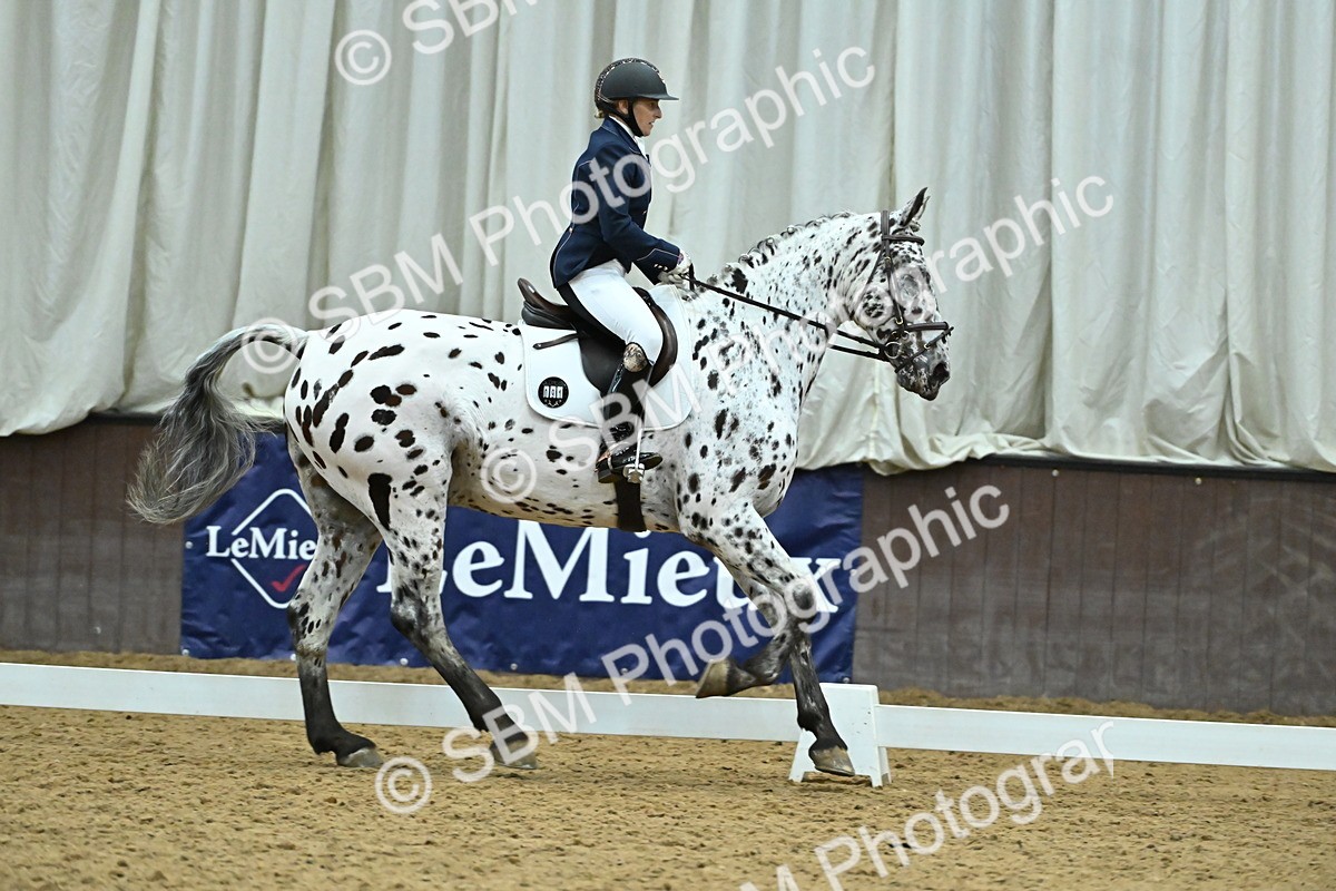 SBM_007501 - Class 81 - Novice 3