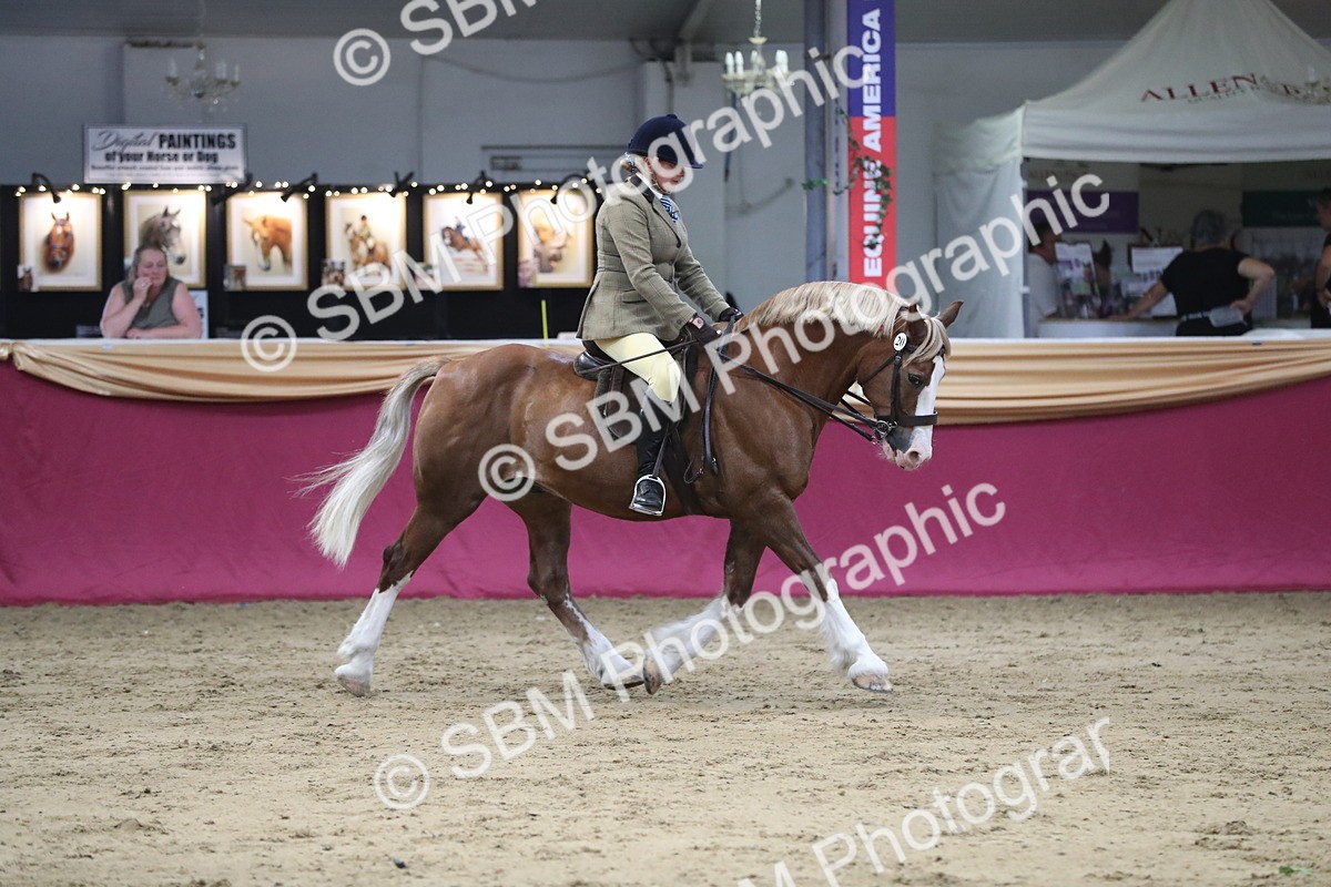 SBM_08411 - Class 11R Regional Ridden Veteran