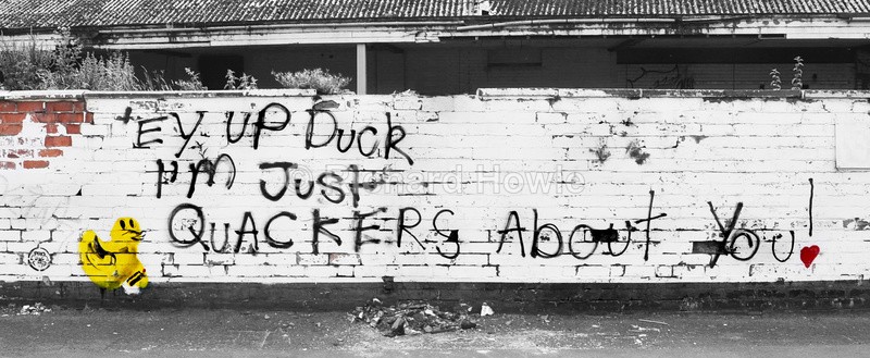 Quackers About You - Potteries Images