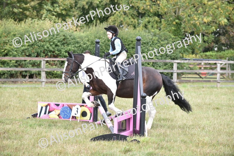 20250831-1824 - Class 8 - Hoof and Foot