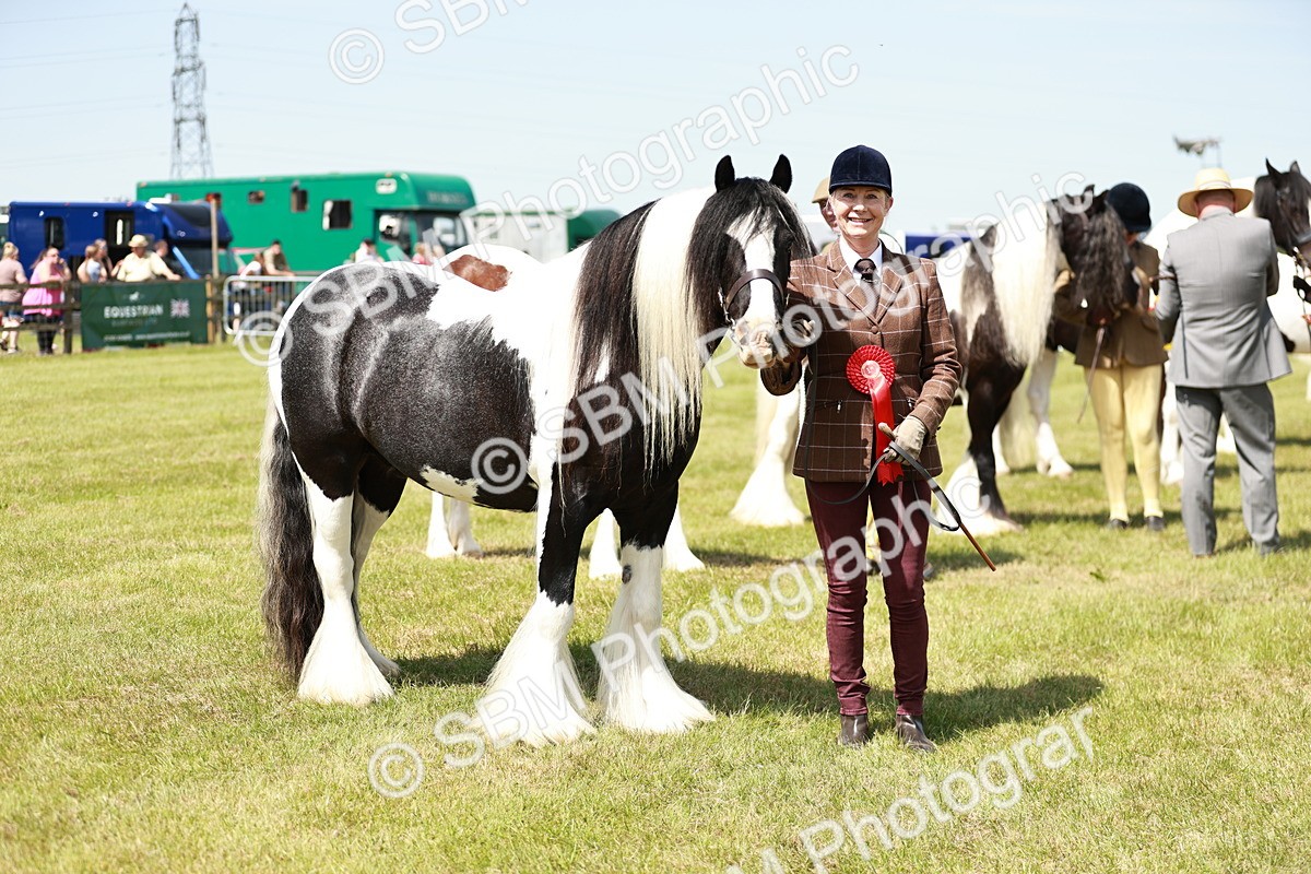 SBM_04265 - Class 39-40 - BSPA Coloured In Hand