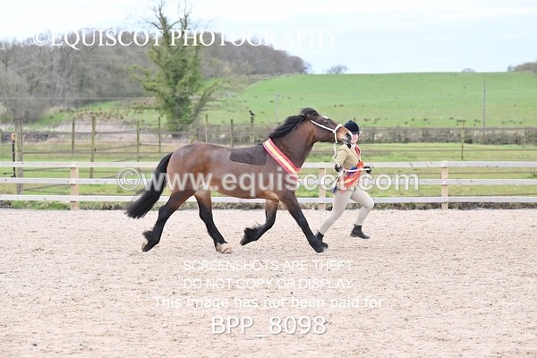 BPP_8098 - SUPREME CHAMPIONSHIP