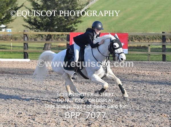 BPP_7077 - CLASS 18 SUN Pony British Novice / 0.80m Open