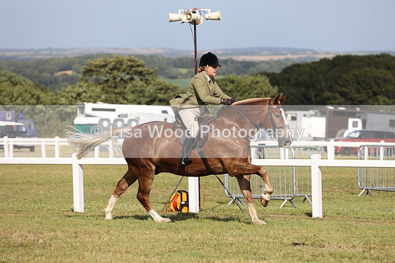 JPP_2945 - Class 20: Working Hunter 70cm