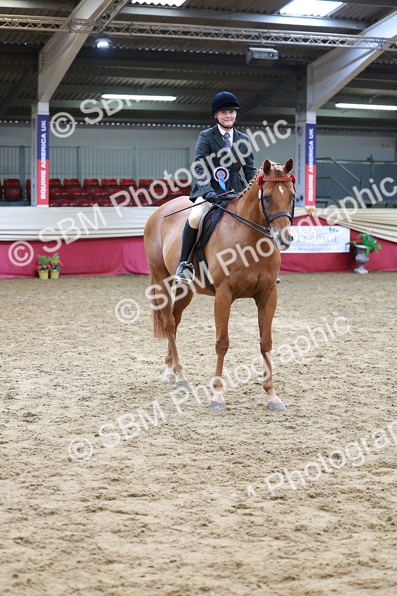 SBM_14983 - Class 108 - Ridden Retired Racehorse