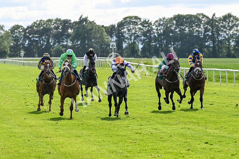 060625-Race 8-Arabian Cobra-5681 - Race 8